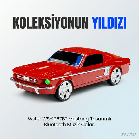 Wster WS-1967BT Oto Muzik Calar