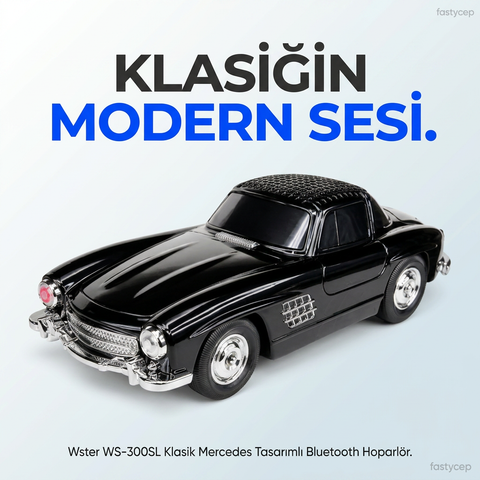 Wster WS-300SL Oto Muzik Calar