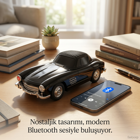Wster WS-300SL Oto Muzik Calar