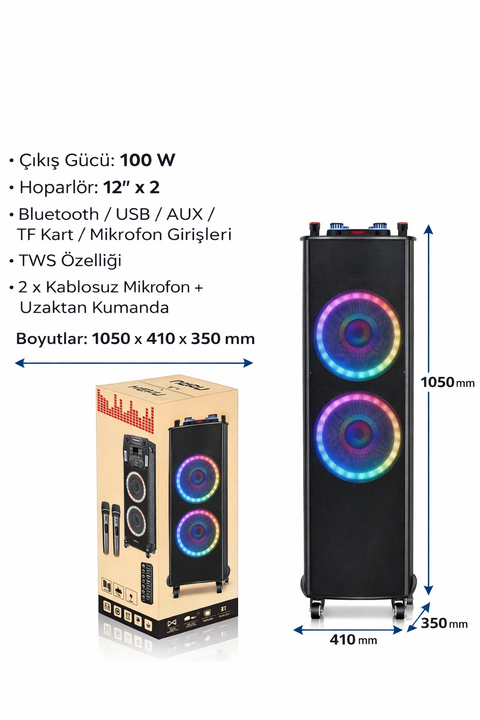 FP -916 Ses Sistemi 100 watt