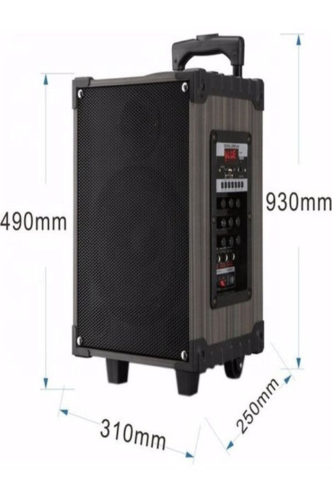 Lt-910 Şarjlı Kumandalı Çift Mikrofonlu Hoparlör Karaoke Sistemi 80 Watt Taşınabilir Amfi Hoparlör